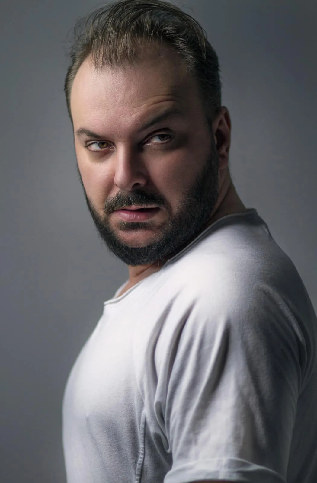 Simion R. Ștefan, portret